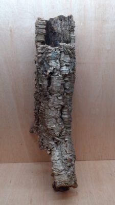 Medium Cork Tube - 60-80cm - 9