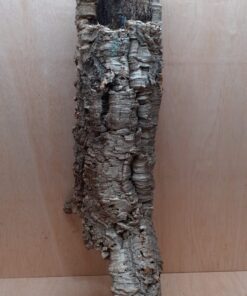 Medium Cork Tube - 60-80cm - 9