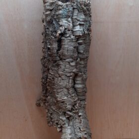 Medium Cork Tube - 60-80cm - 9