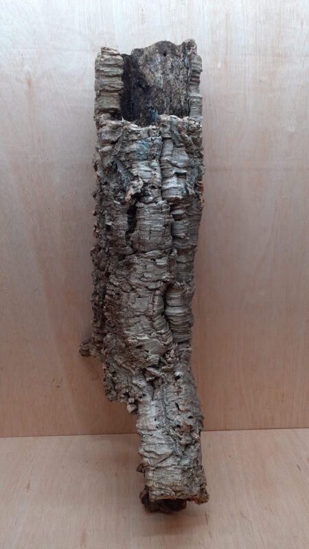Medium Cork Tube - 60-80cm - 9