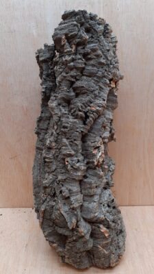 Medium Cork Tube - Upto 40cm - 9