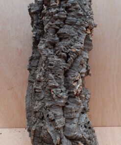 Medium Cork Tube - Upto 40cm - 9