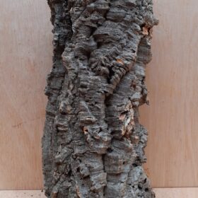 Medium Cork Tube - Upto 40cm - 9