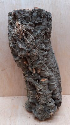 Medium Cork Tube - Upto 40cm - 14