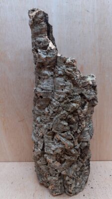 Medium Cork Tube - Upto 40cm - 17