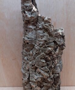 Medium Cork Tube - Upto 40cm - 17