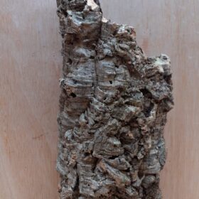 Medium Cork Tube - Upto 40cm - 17