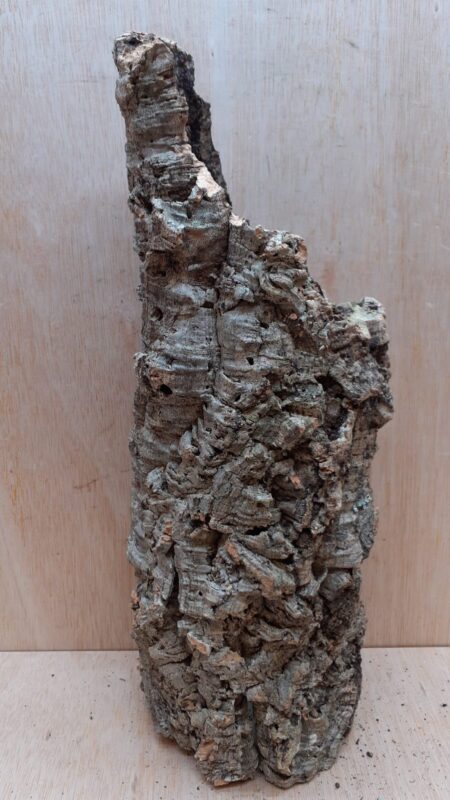 Medium Cork Tube - Upto 40cm - 17