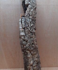 Small Cork Tube - 60-80cm - 16