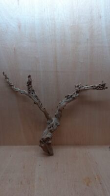 Sandblasted Grapevine - Large 4