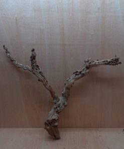 Sandblasted Grapevine - Large 4
