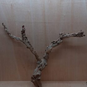 Sandblasted Grapevine - Large 4