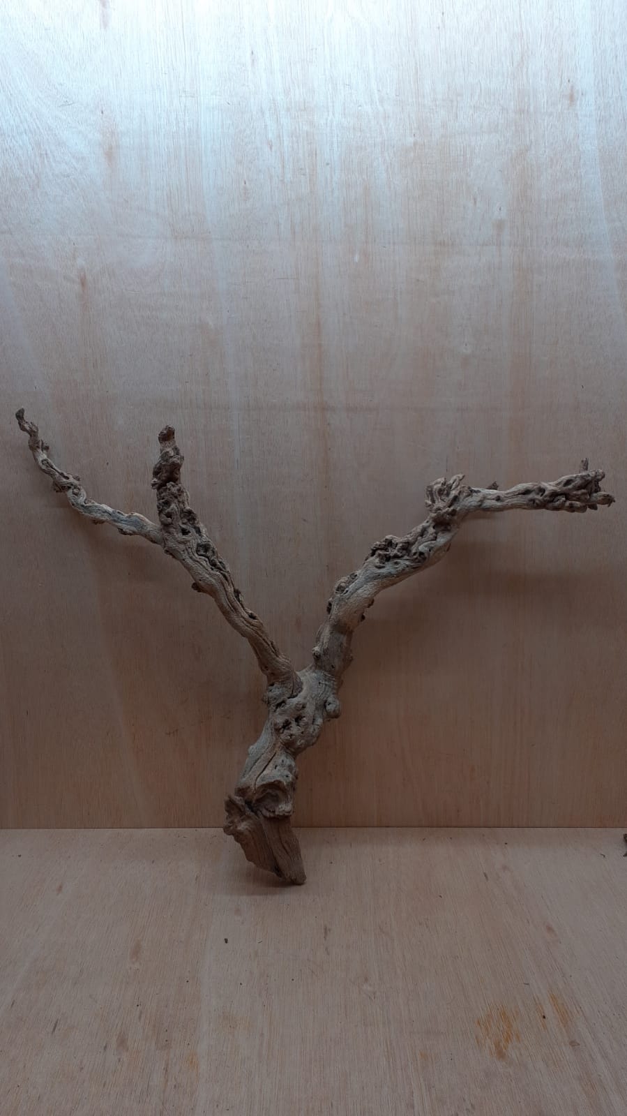 Sandblasted Grapevine - Large 4