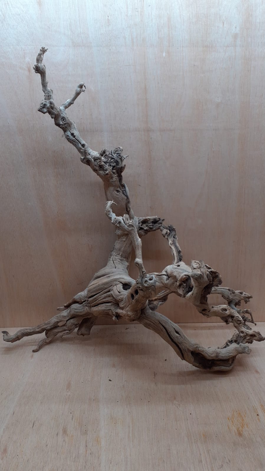 Sandblasted Grapevine - XL 16