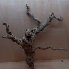 Sandblasted Grapevine - XL 18