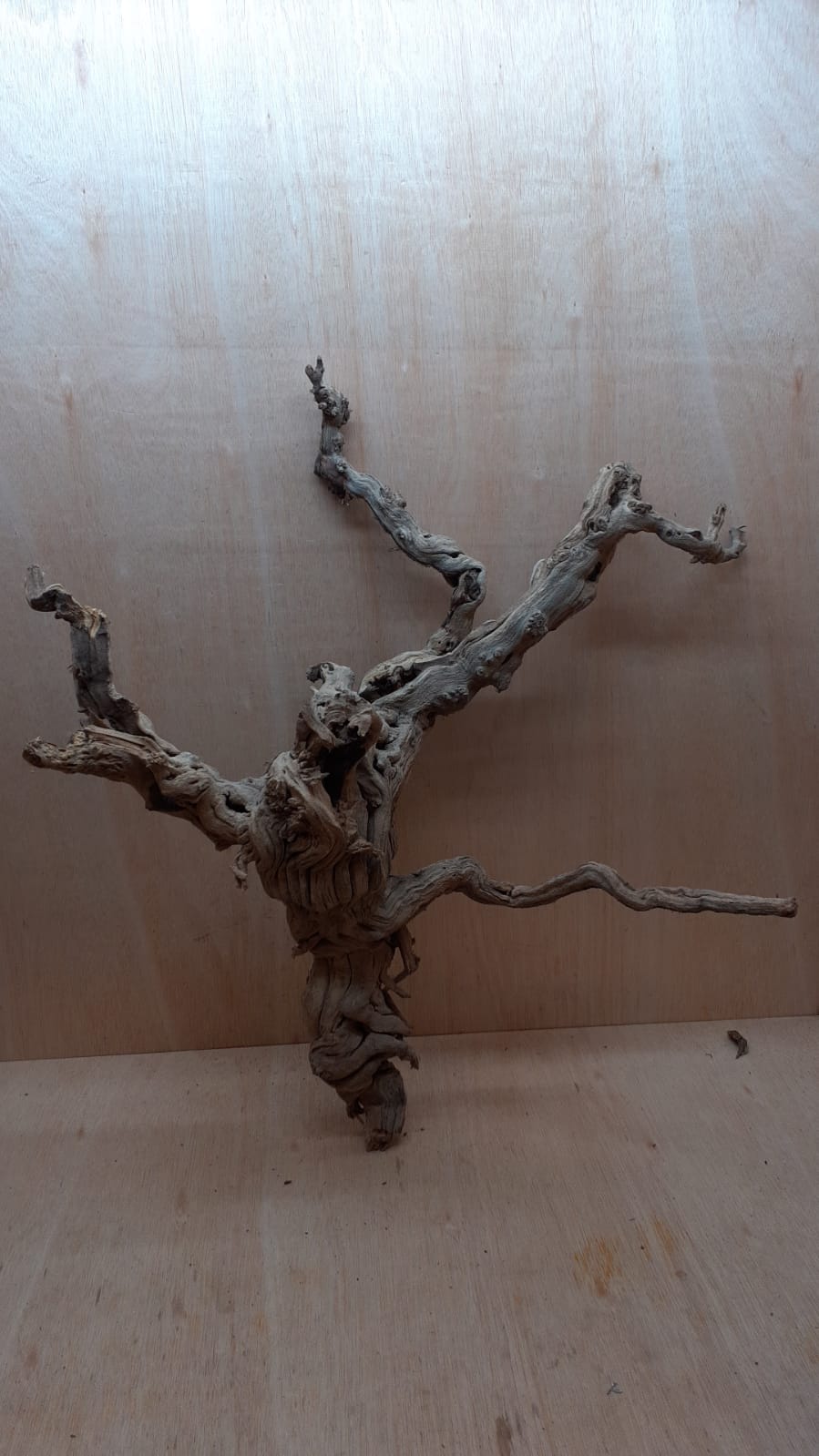 Sandblasted Grapevine - XL 18