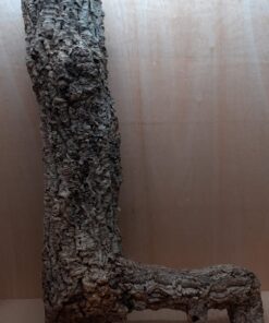 Large Cork Tube - 80-110cm - 9