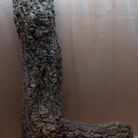 Large Cork Tube - 80-110cm - 9