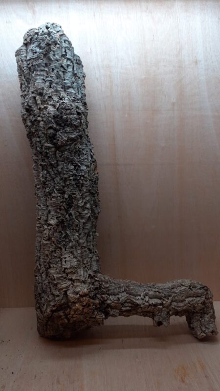 Large Cork Tube - 80-110cm - 9