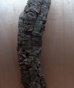 Large Cork Tube - 80-110cm - 10