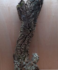 Medium Cork Tube - 80-110cm - 9