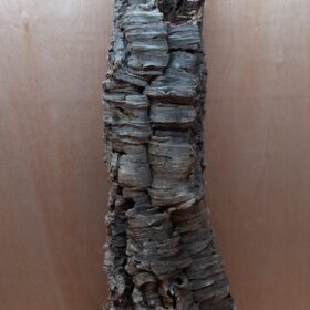 Medium Cork Tube - 80-110cm - 17