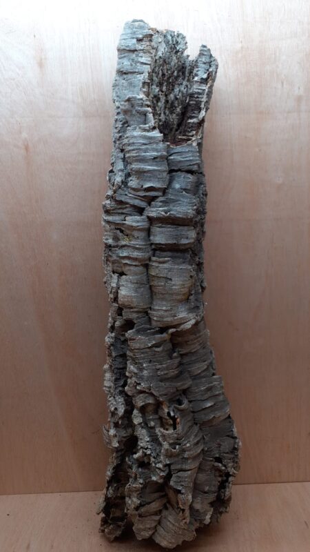 Medium Cork Tube - 80-110cm - 17