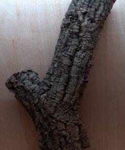 Large Cork Tube - 80-110cm - 7