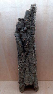 Medium Cork Tube - 60-80cm - 2