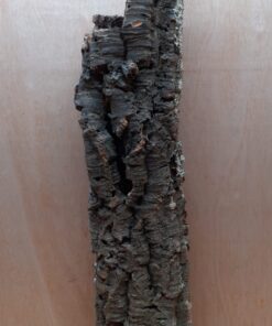 Medium Cork Tube - 60-80cm - 2