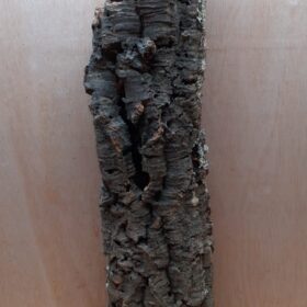 Medium Cork Tube - 60-80cm - 2