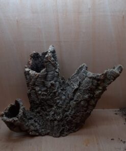 Large Cork Tube - 60-80cm - 5