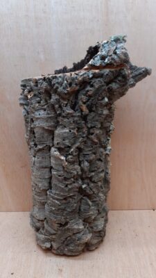 Medium Cork Tube - Upto 40cm - 1