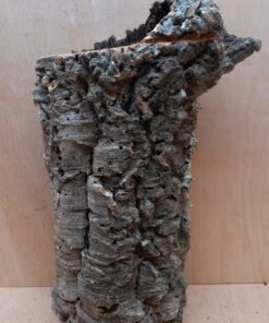 Medium Cork Tube - Upto 40cm - 1