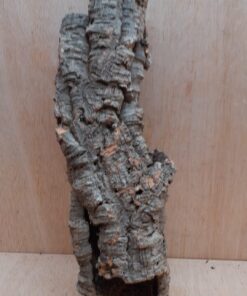 Small Cork Tube - 40-60cm - 16