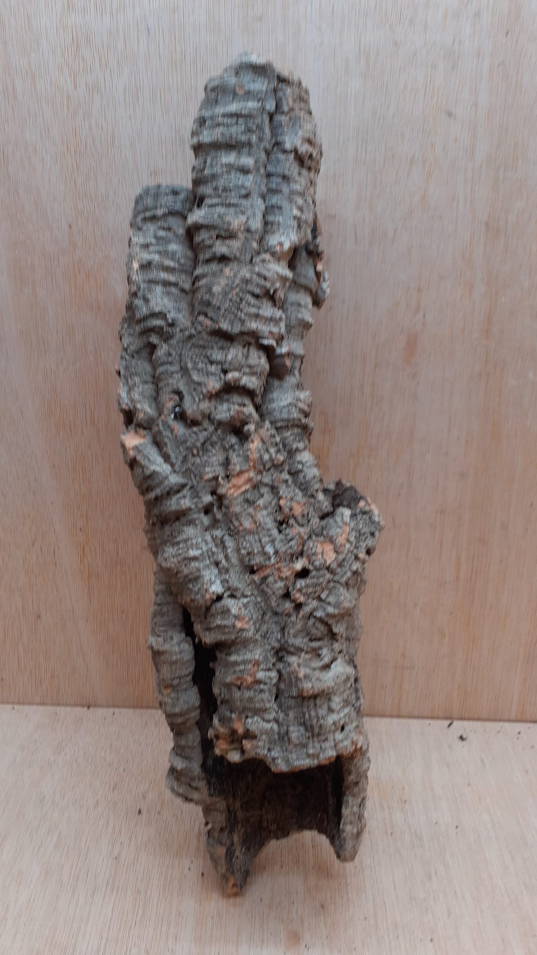 Small Cork Tube - 40-60cm - 16