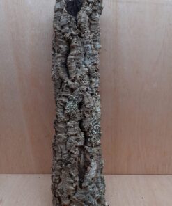 Medium Cork Tube - 60-80cm - 3