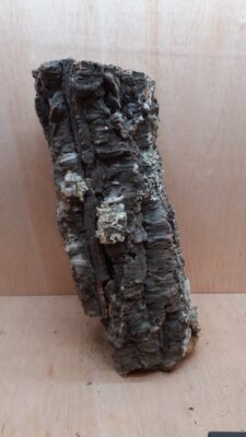 Large Cork Tube - 40-60cm - 7