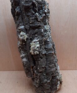 Large Cork Tube - 40-60cm - 7