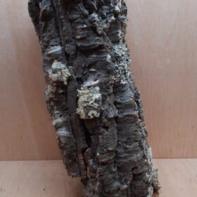 Large Cork Tube - 40-60cm - 7