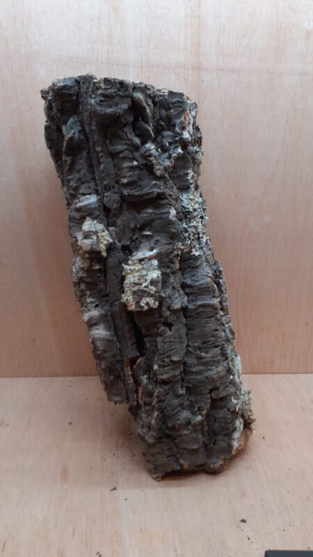 Large Cork Tube - 40-60cm - 7