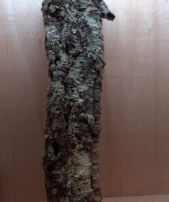 Large Cork Tube - 80-110cm - 5