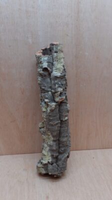 Small Cork Tube - 40-60cm - 2