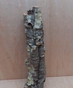 Small Cork Tube - 40-60cm - 2