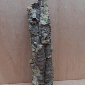 Small Cork Tube - 40-60cm - 2