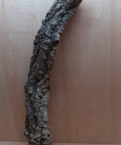 Small Cork Tube - 60-80cm - 2
