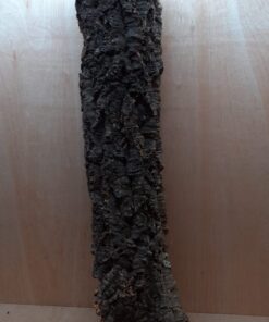 Medium Cork Tube - 80-110cm - 10