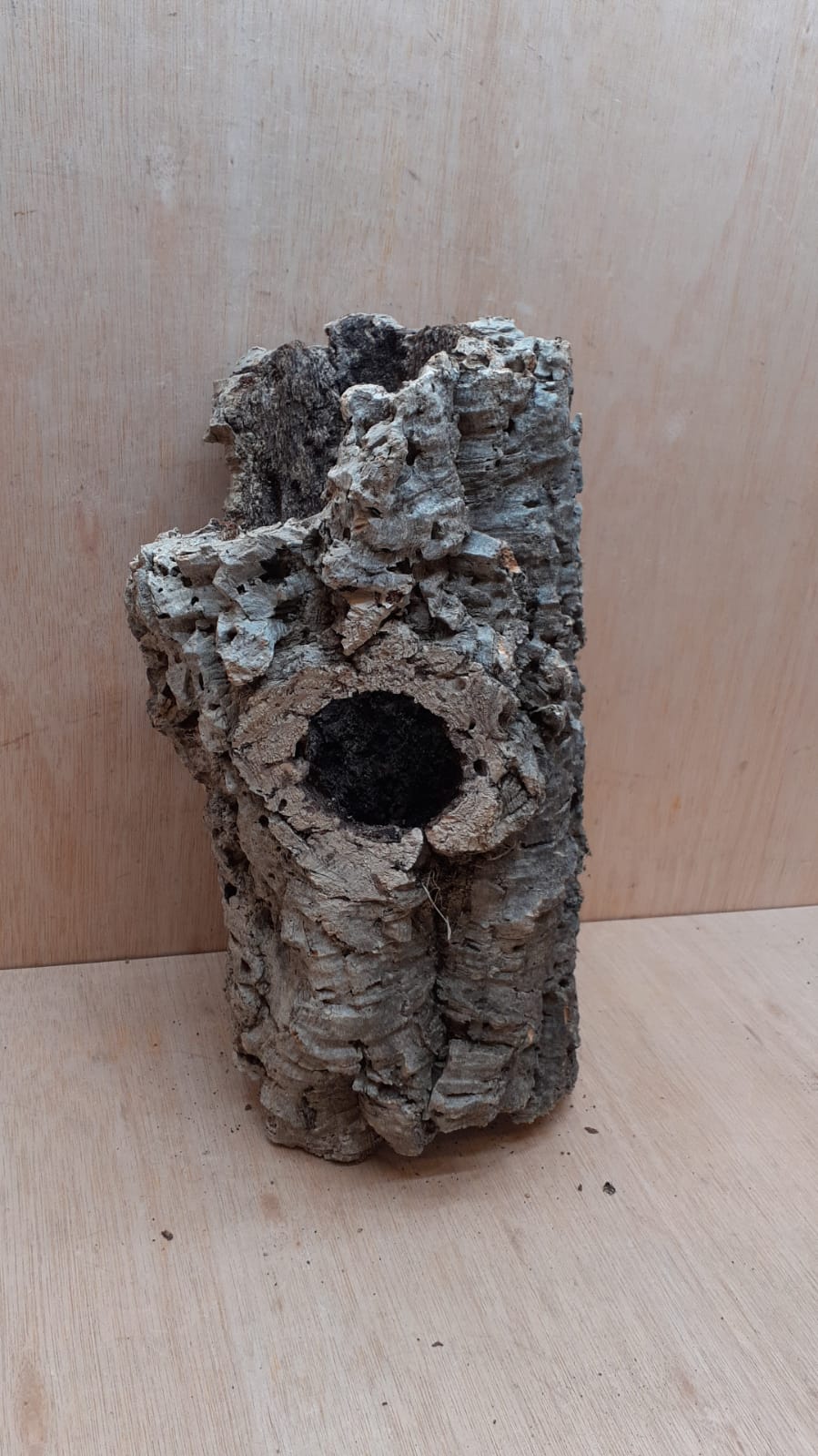 Medium Cork Tube - Upto 40cm - 12