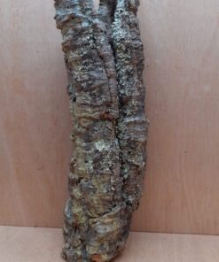 Small Cork Tube - 40-60cm - 11