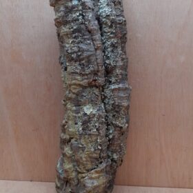 Small Cork Tube - 40-60cm - 11